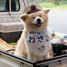ありがとうございました