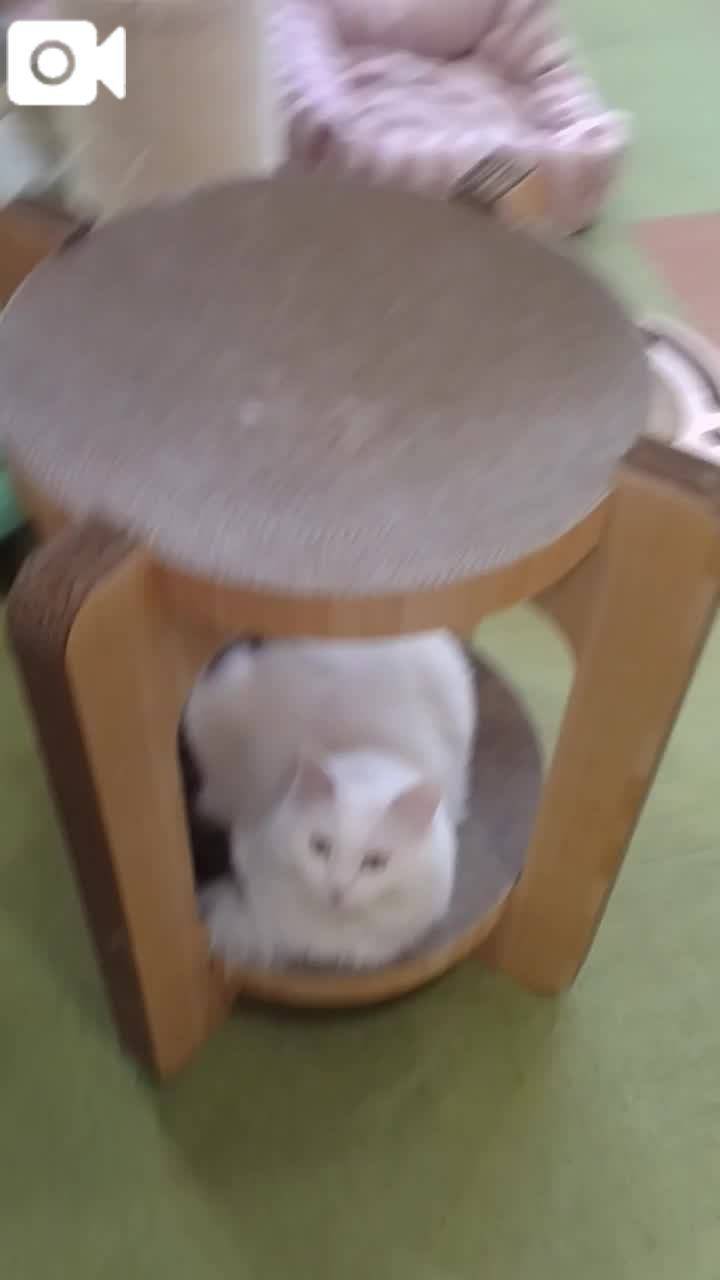 ほっとひと息😻