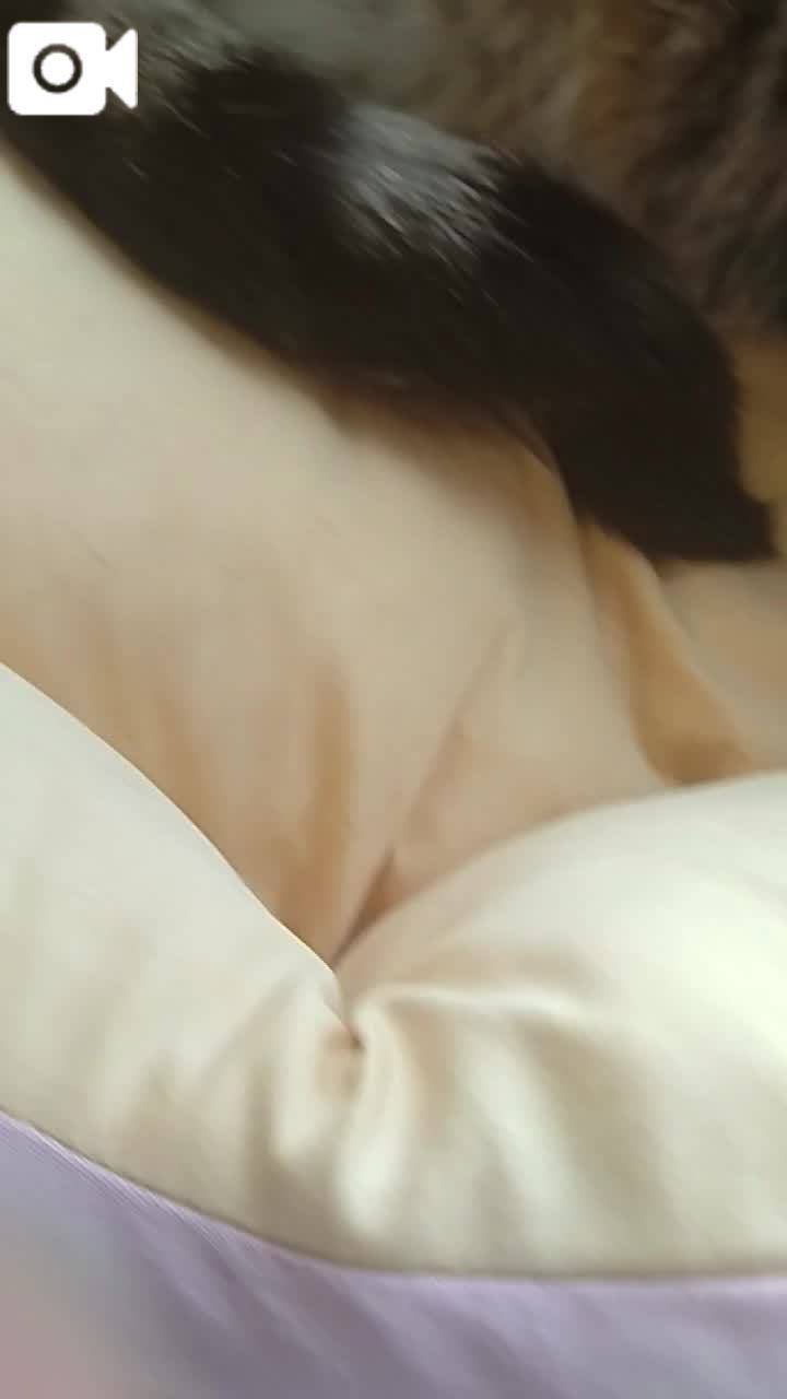 ほっとひと息😻