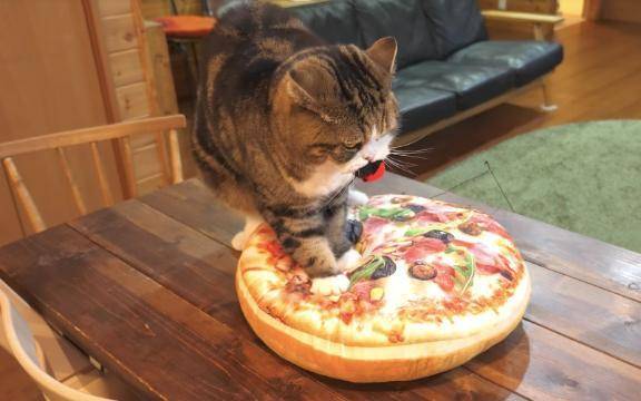 今日はクタクタ（笑）