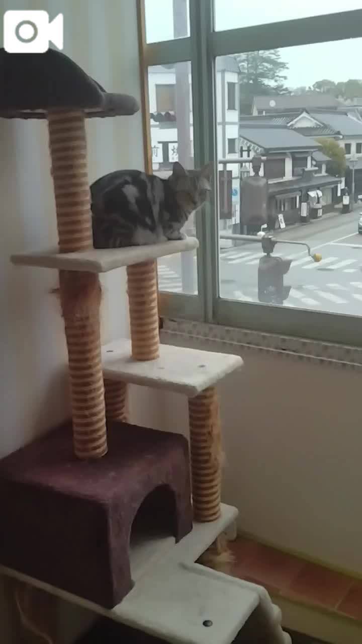 ほっとひと息😻