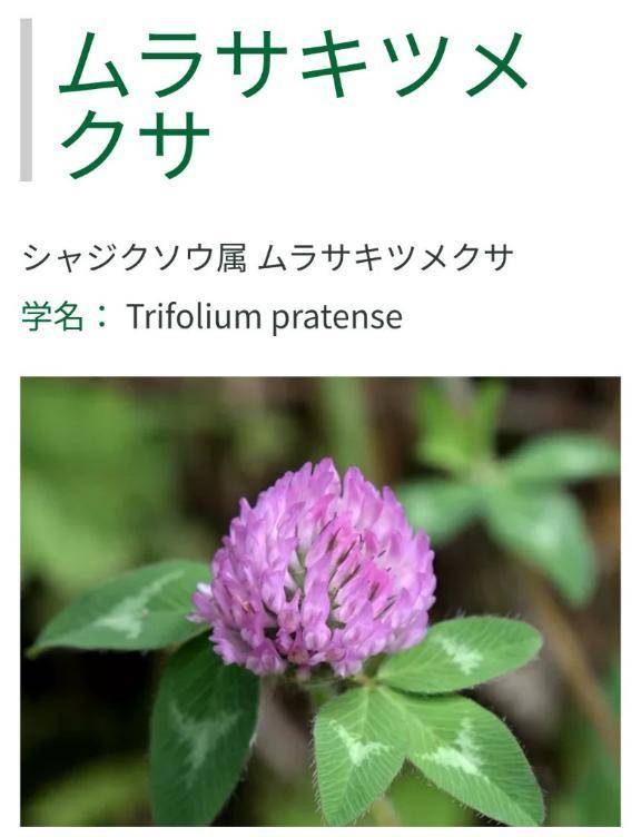ありがとうございました😊