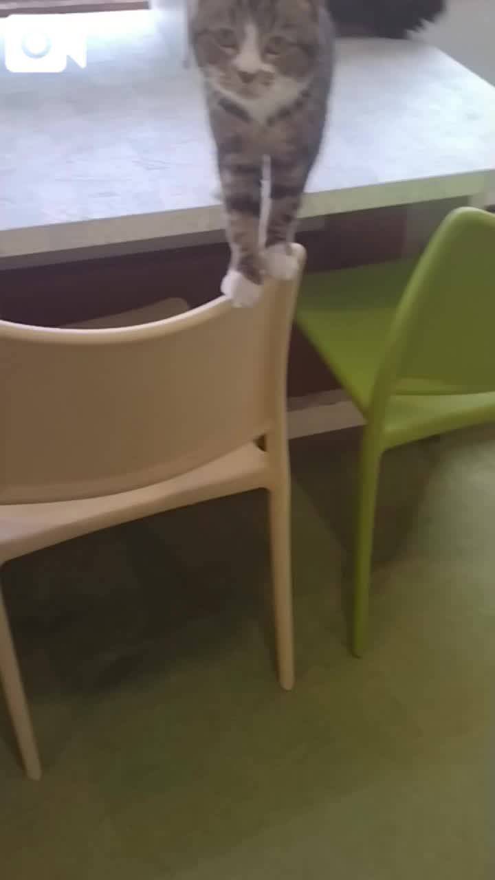ほっとひと息😻