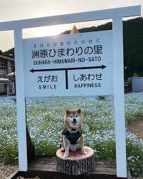 １０時３０分から２４時３０分まで出勤しています😊