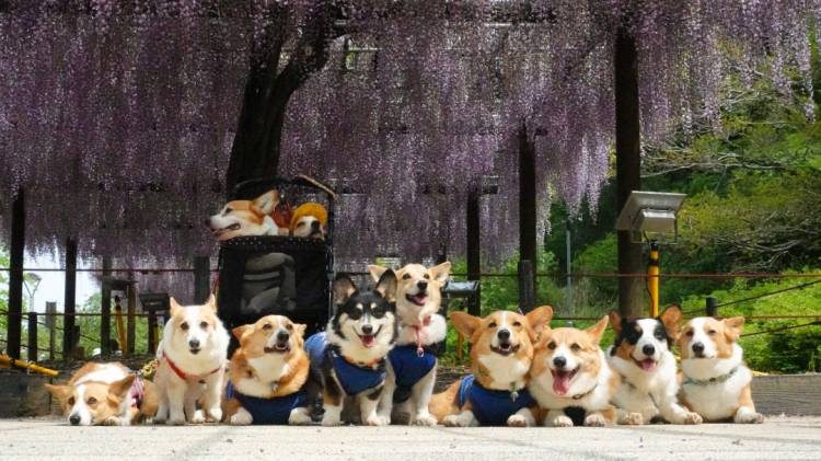 さゆり　　指名料無料中