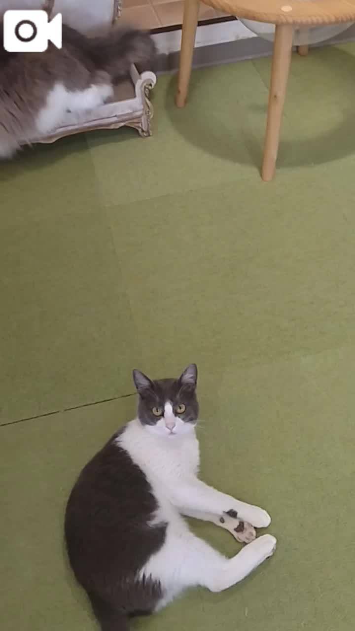 ほっとひと息😻