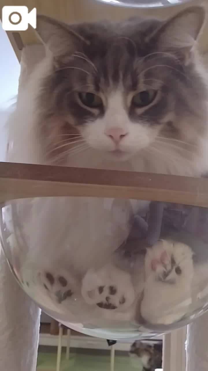 ほっとひと息😻