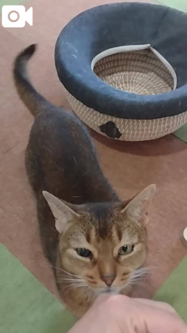 ほっとひと息😻
