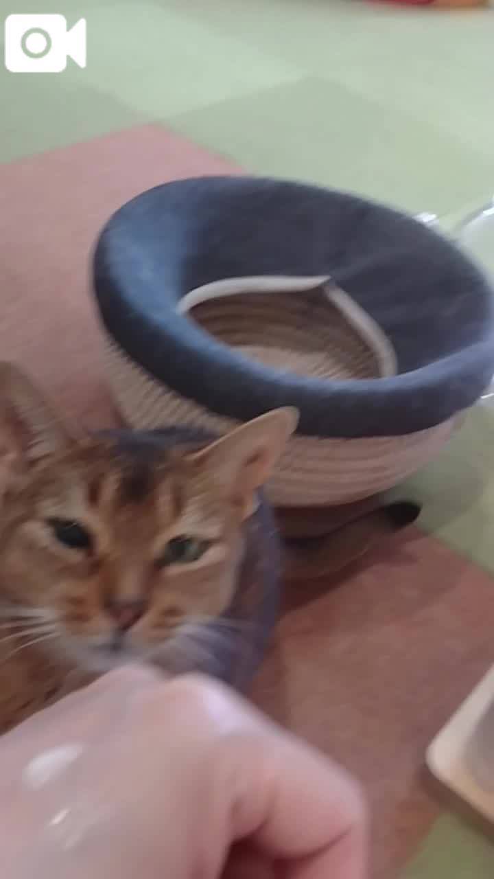 ほっとひと息😻