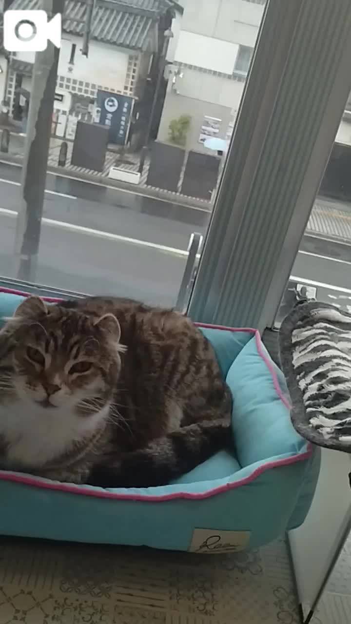 ほっとひと息😻