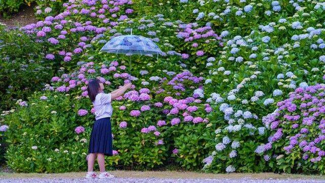 さゆり　　指名料無料中