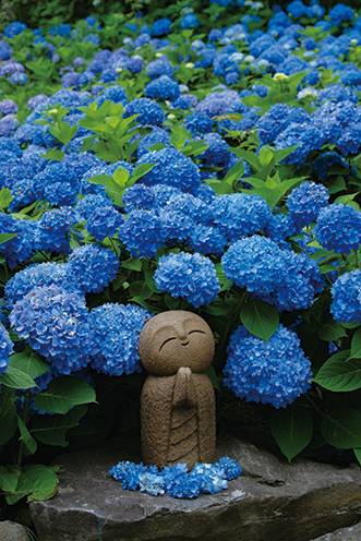 さゆり　　指名料無料中