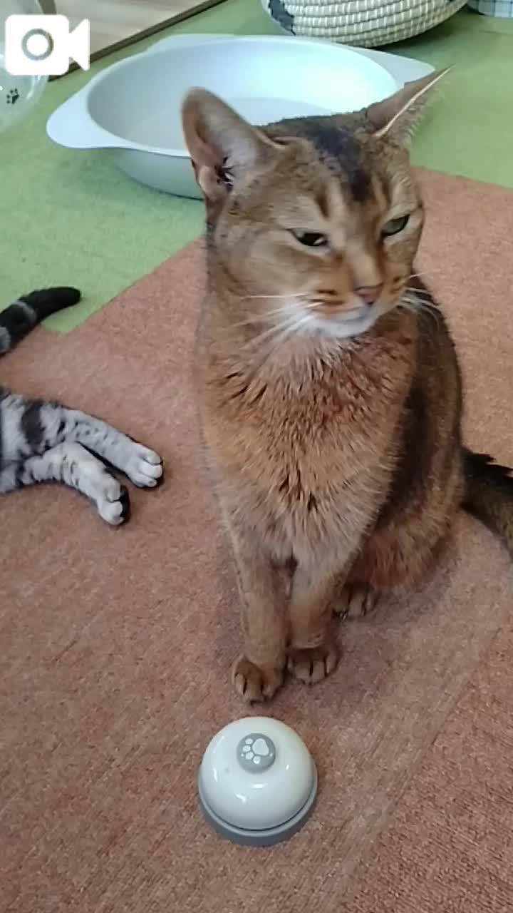 春夏　　姫予約