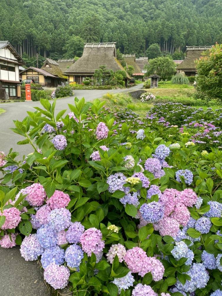 さゆり　　指名料無料中