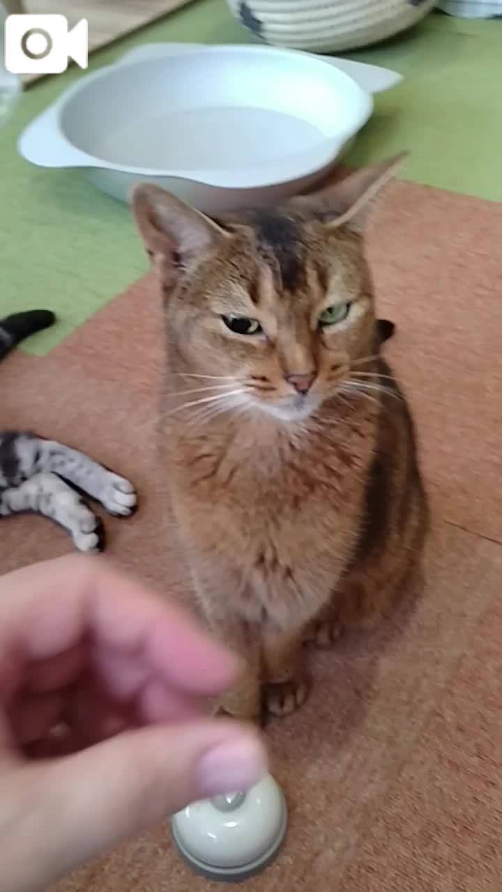 ほっとひと息😻