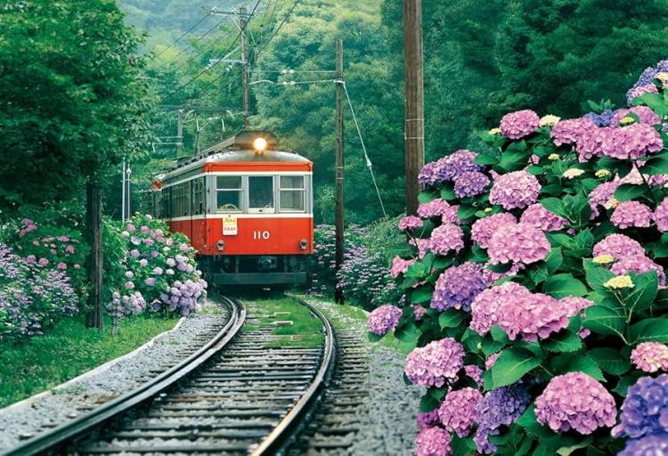 ６月になって３回目の火曜日