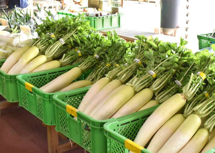 さゆり　　指名料無料中