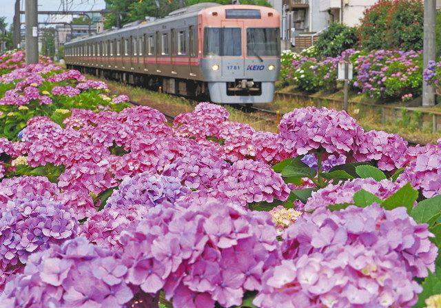 さゆり　　指名料無料中