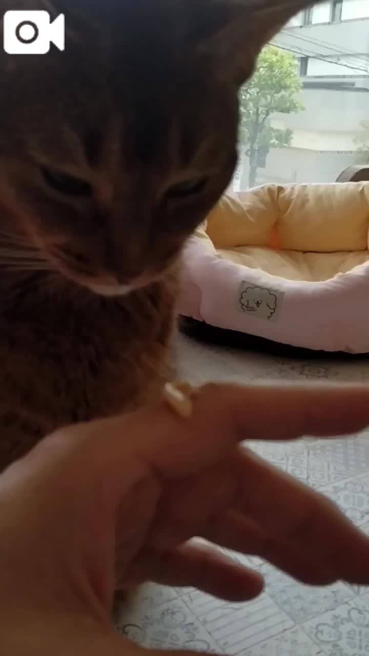 ほっとひと息😻