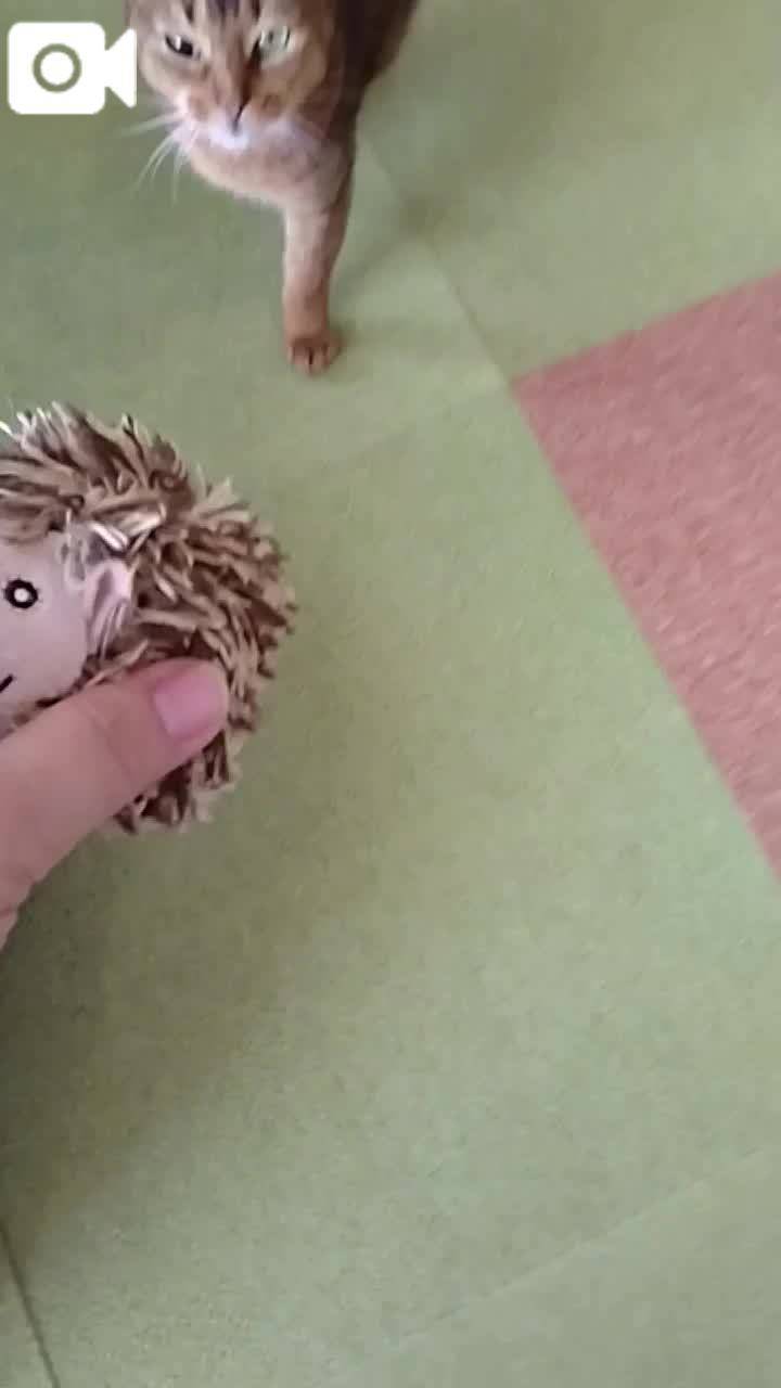 ほっとひと息😻
