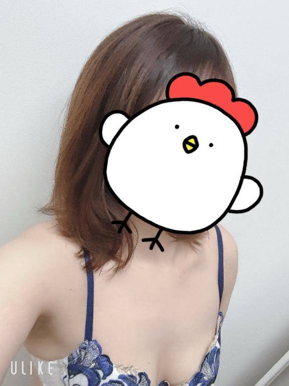 今日も今日とて