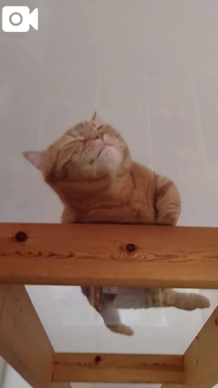 ほっとひと息😻