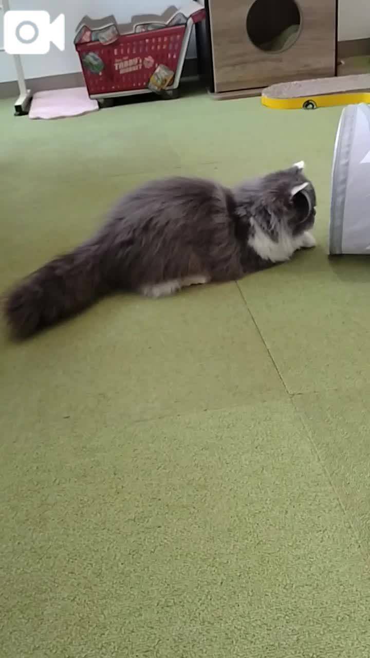 ほっとひと息😻