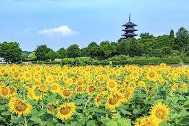 今日から７月