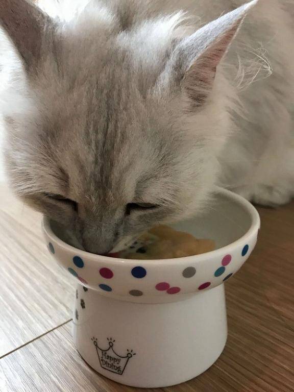 まい 癒し系　ローション風呂