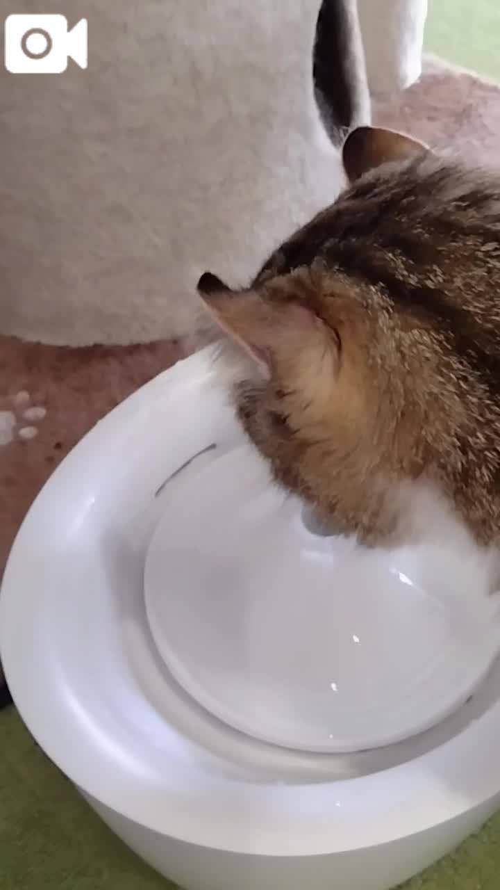 ほっとひと息😻