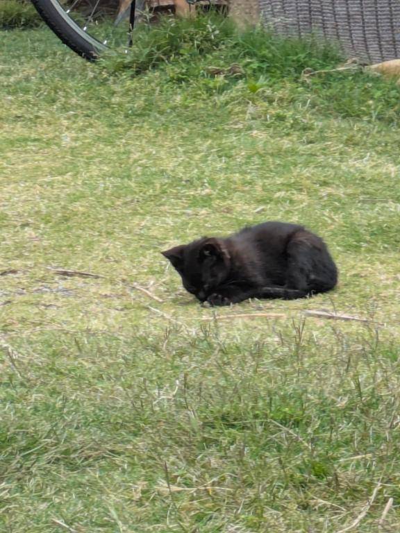 10時半からの予約🩷