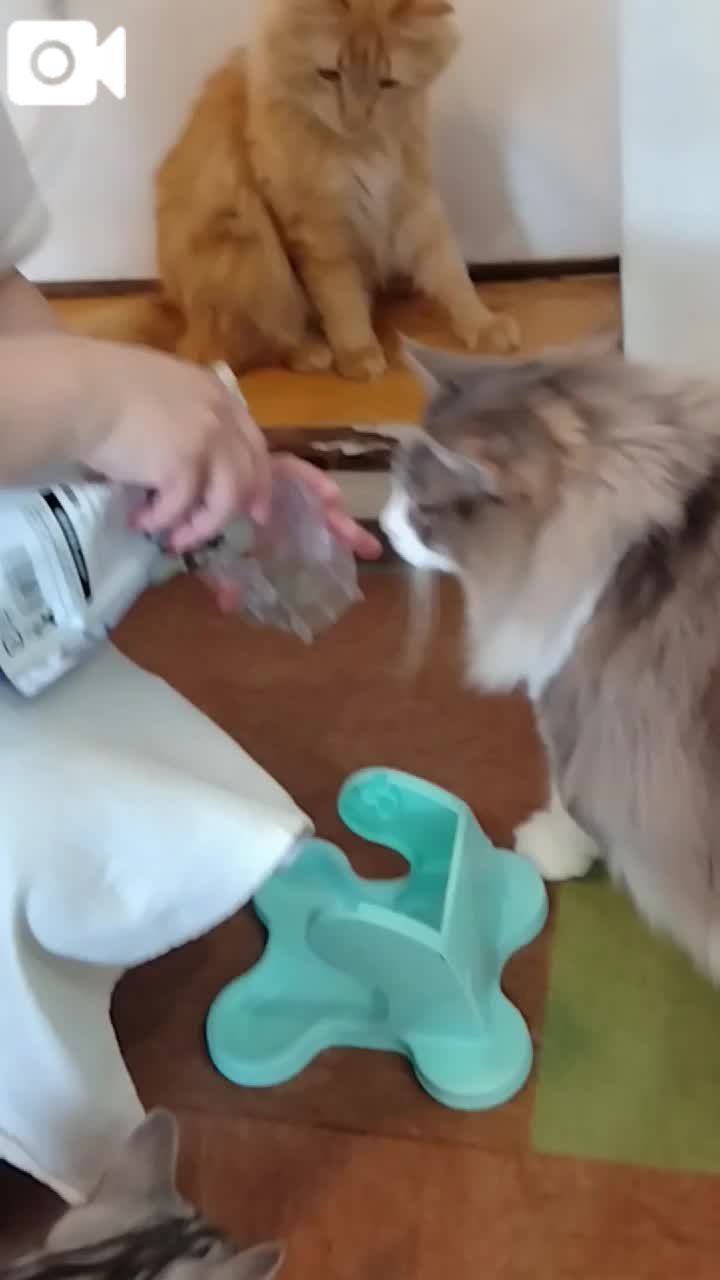 ほっとひと息😻
