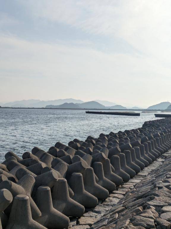海の清掃(⁠・⁠–⁠・⁠;⁠)⁠ゞ