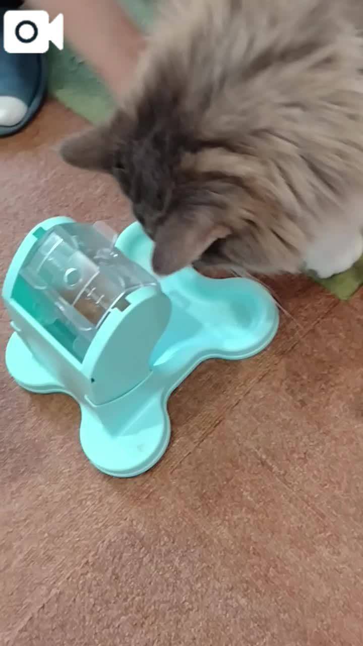 ほっとひと息😻