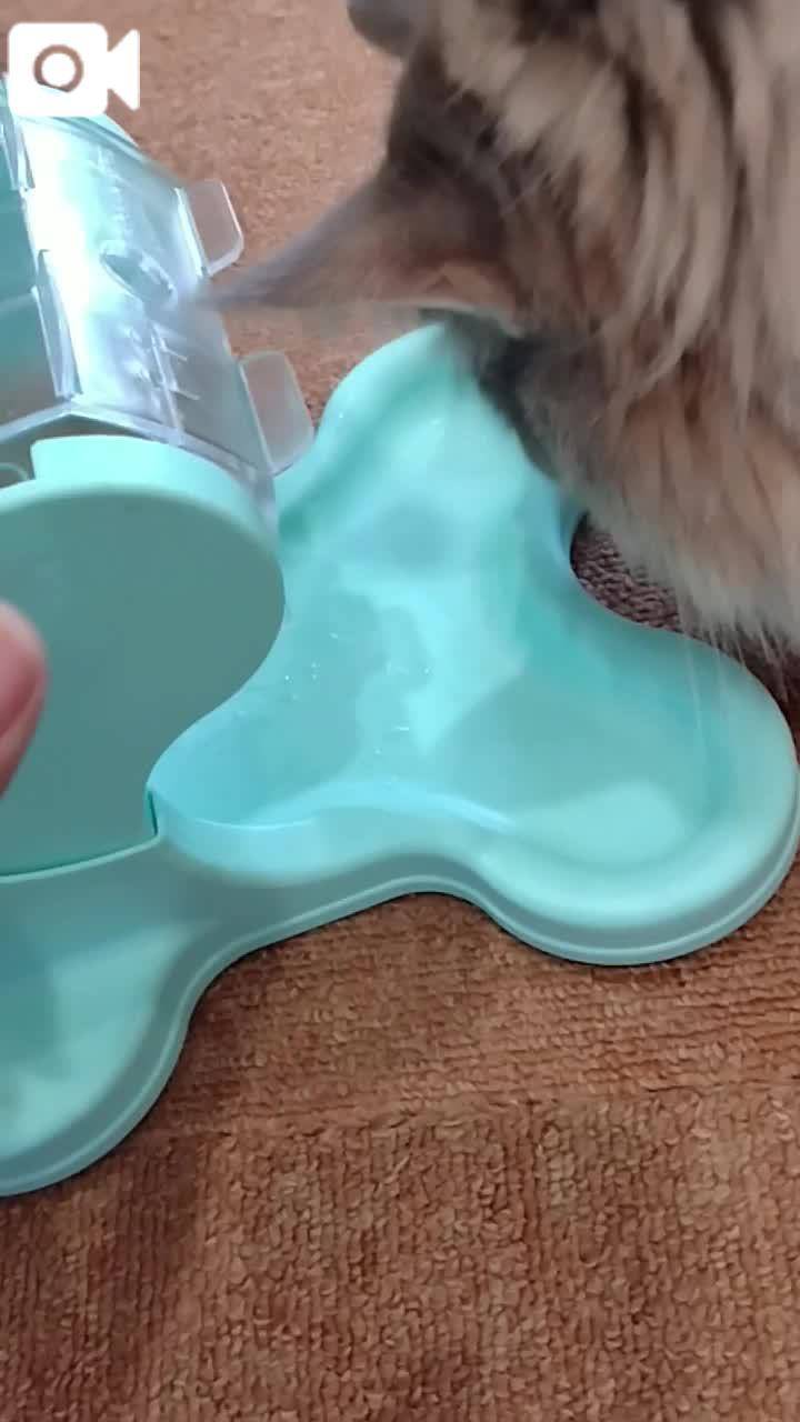 ほっとひと息😻