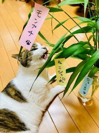 あなたと逢えますように🩷☺️