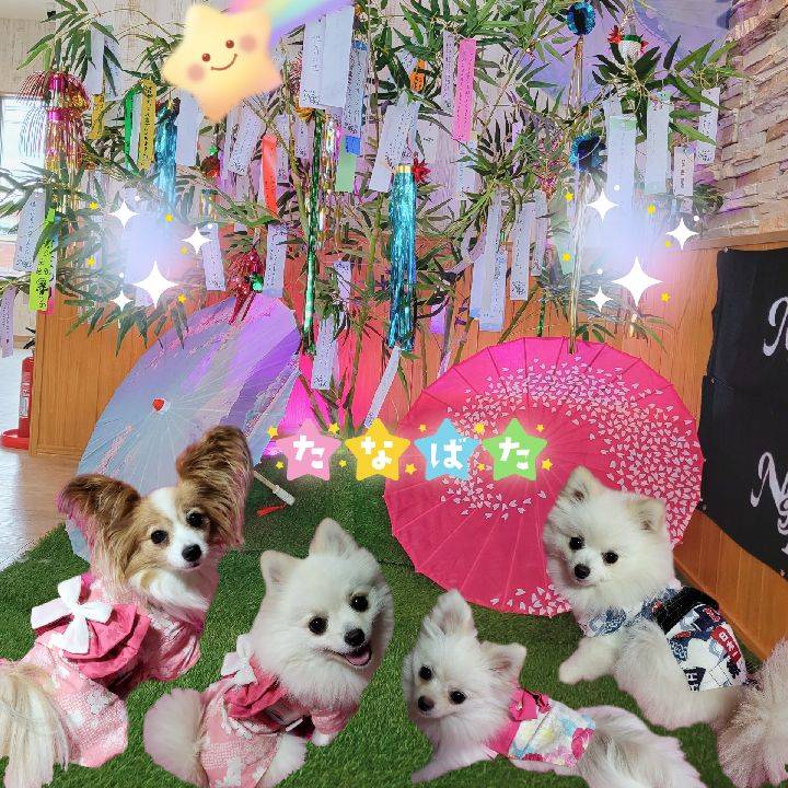 ありがとうございました