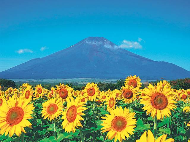 ７月になって２回目の火曜日