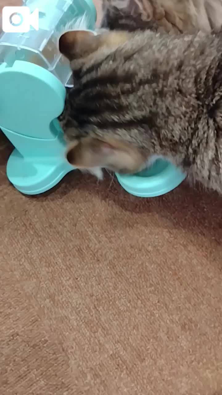 ほっとひと息😻