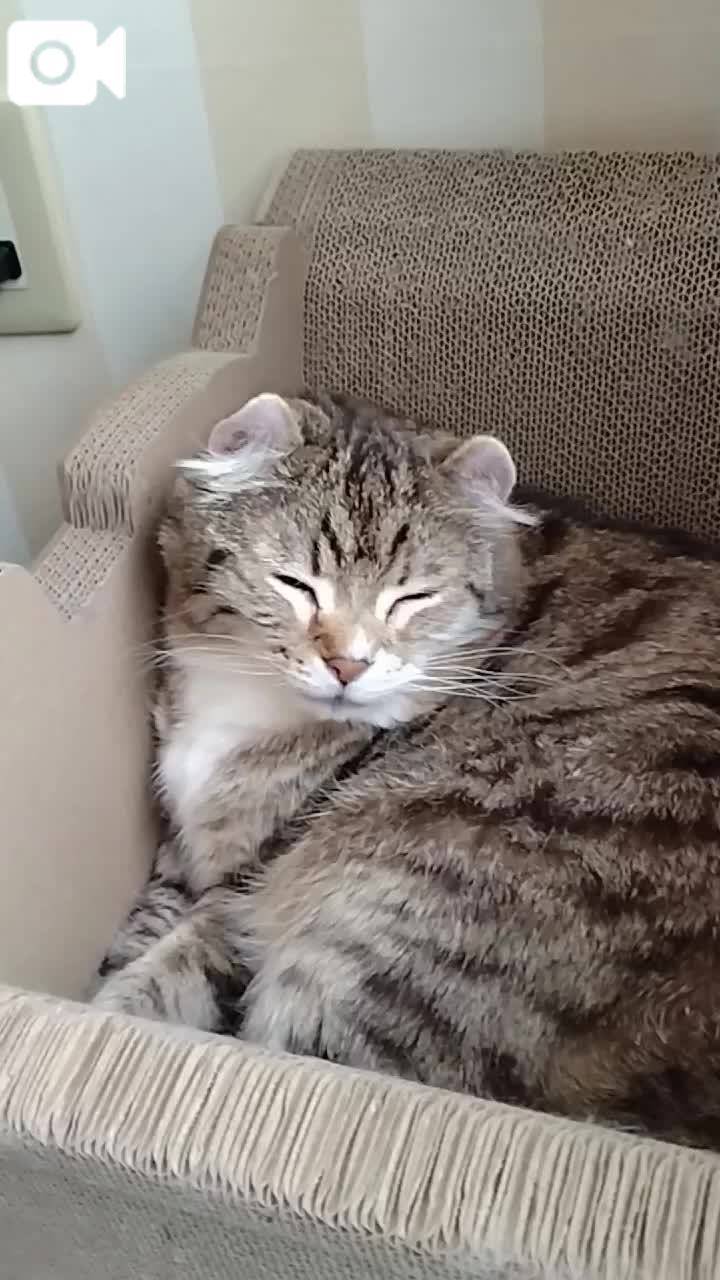ほっとひと息😻