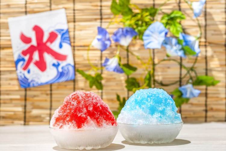 予想最高気温は３５℃