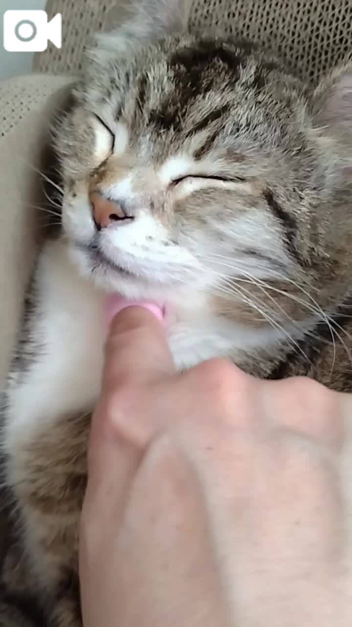 ほっとひと息😻