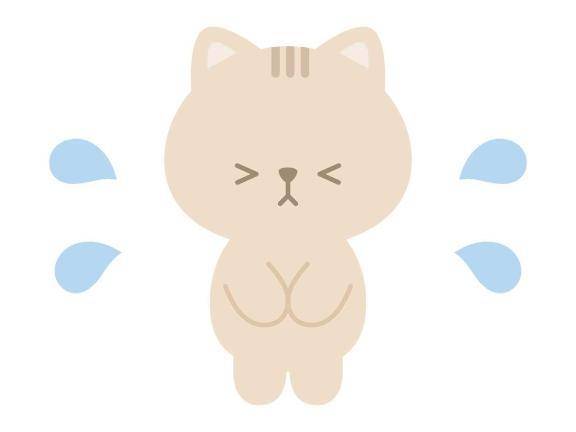 受付終了しました💦
