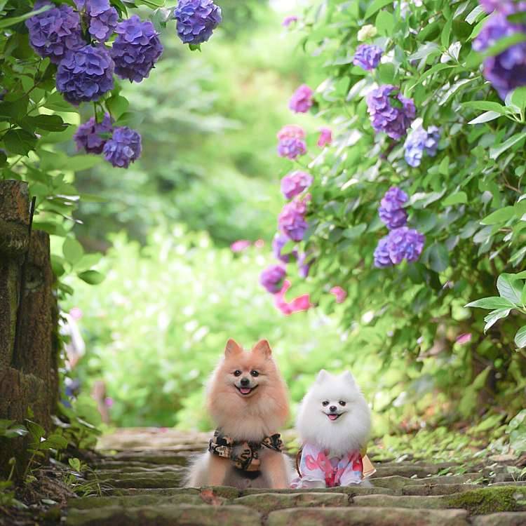 お疲れ様でした