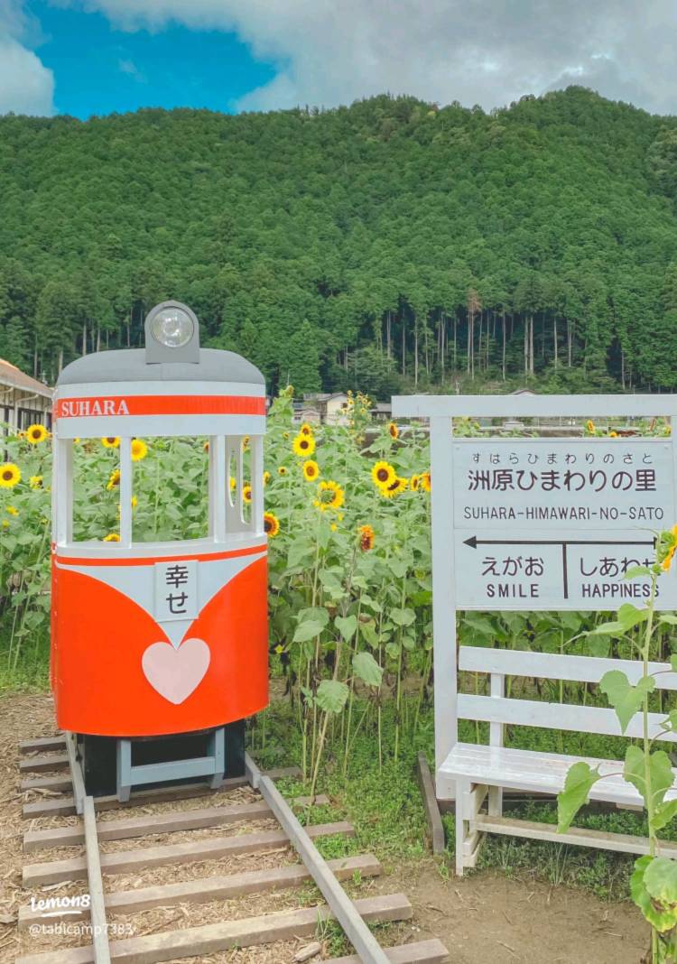 予想最高気温は３６℃