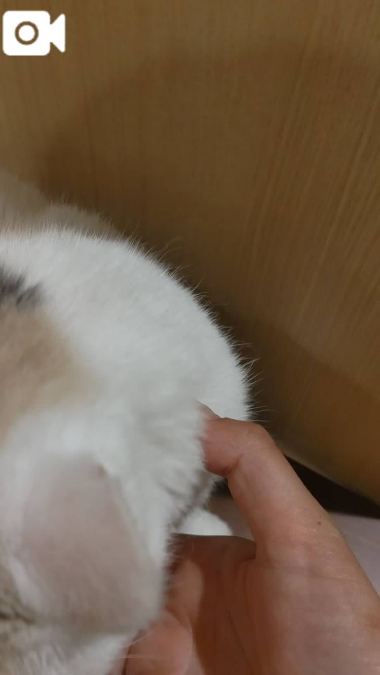 体験　ゆずき　　指名料無料　応援企画対応