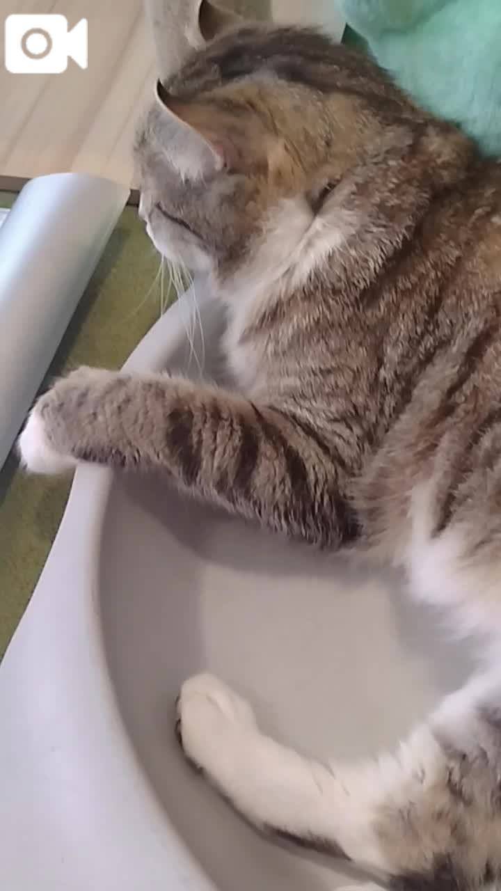 ほっとひと息😻