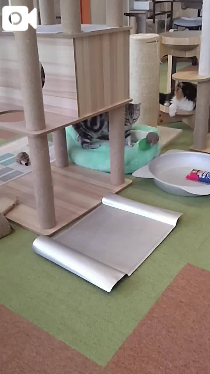 ほっとひと息😻