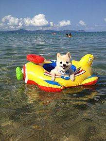 おやすみなさい