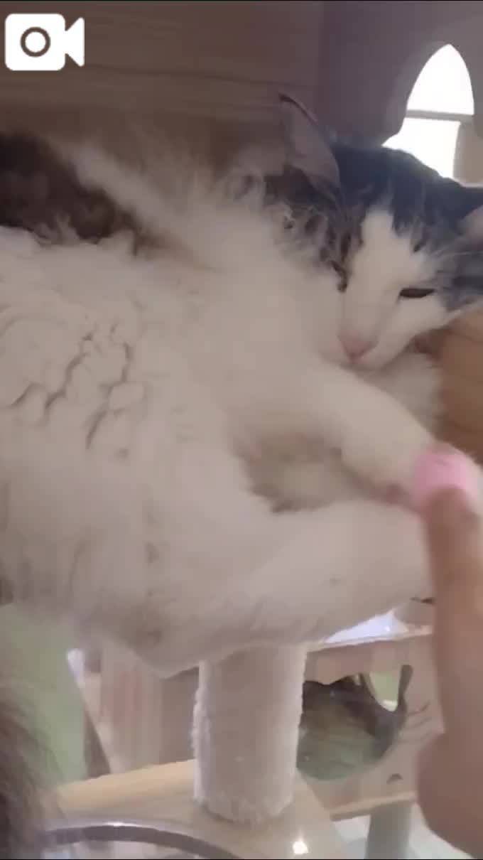 ちょっとひと息😻